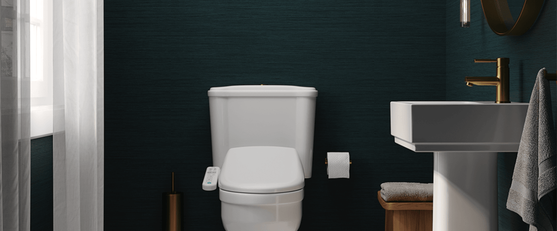 What is a Bidet? Why use a Bidet? | TheInushome.com - Inus Home USA｜Pleasant Living Experience!